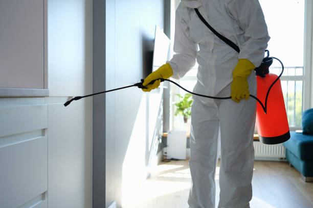 Mold Remediation for Specific Building Types