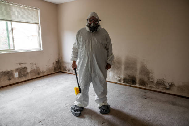 Best Industrial Mold Remediation in North Lynnwood, WA
